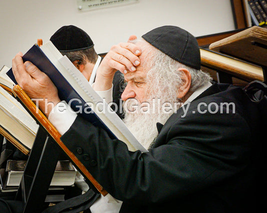 Rav Dovid Schustal 3 - רב דוד שוסטל Sukkah Poster