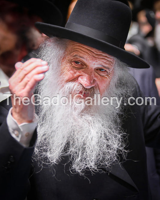 Rav Dovid Schustal 6 - רב דוד שוסטל Sukkah Poster