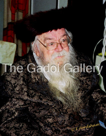 Rav Shalom Schwadron -1- רב שלום מרדכי הכהן שבדרון Sukkah Poster