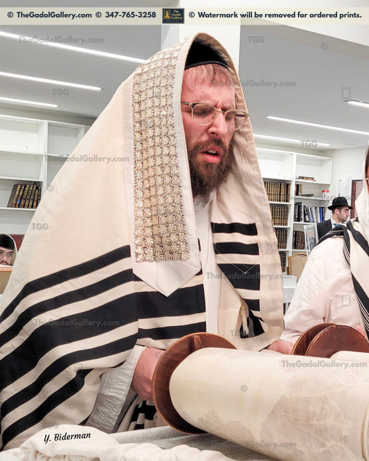 Rav Heshy Schwartz - 1