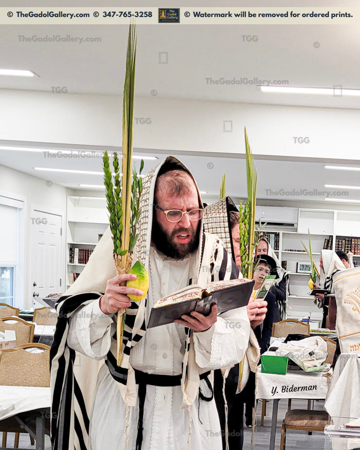 Rav Heshy Schwartz - 2 - Lulav & Esrog - Kittal