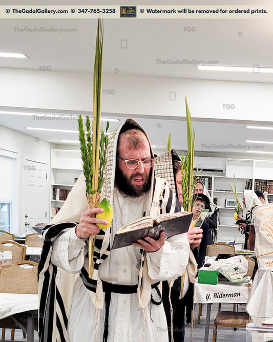 Rav Heshy Schwartz - 2 - Lulav & Esrog - Kittal