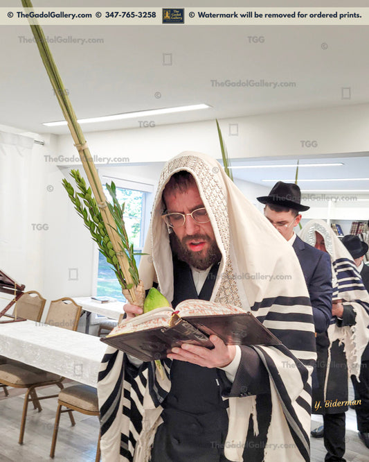 Rav Heshy Schwartz - 3 - Lulav & Esrog