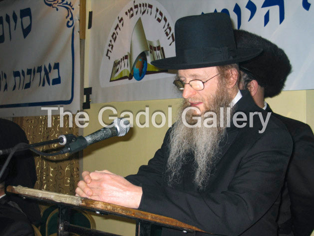 Rav Don Segal -9- רב דן סגל Sukkah Poster