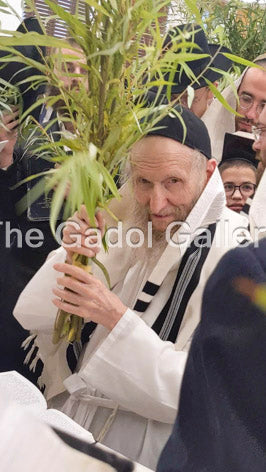 Rav Don Segal -3- רב דן סגל Sukkah Poster