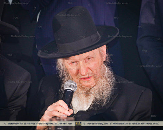 Rav Don Segal -11- רב דן סגל