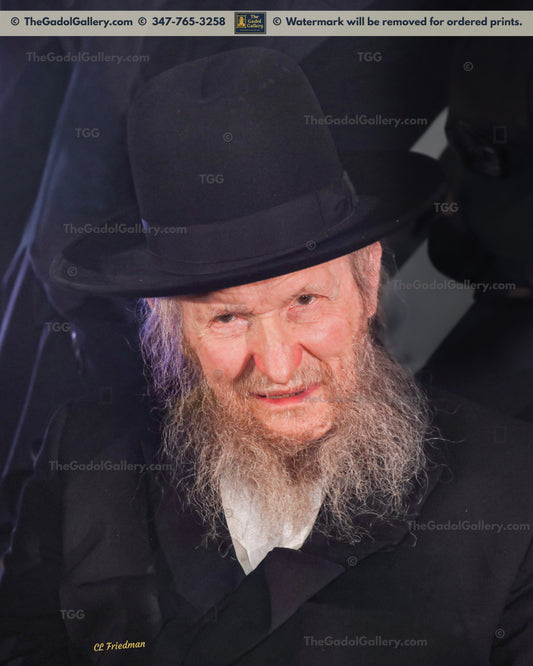 Rav Don Segal -8- רב דן סגל