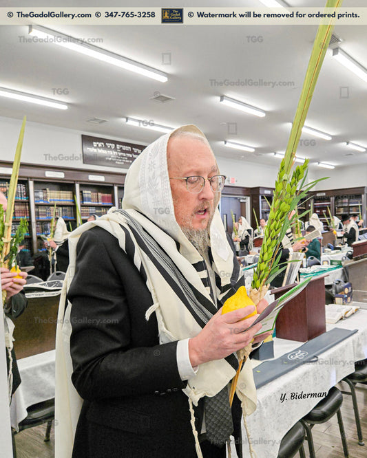 Rav Shraga Sender - 2 Lulav & Esrog