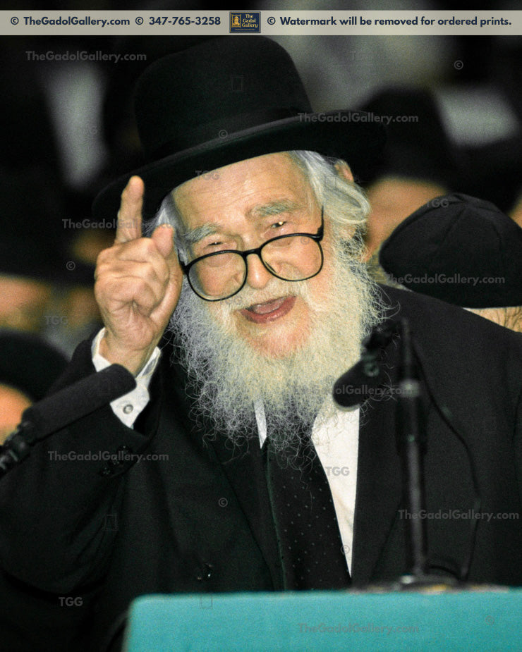 Rav Eliezer Menachem Mann Shach - רב אלעזר מנחם מן שך