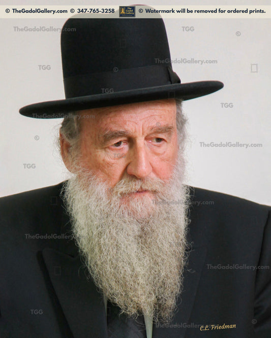 Rav Moshe Shapiro - 1
