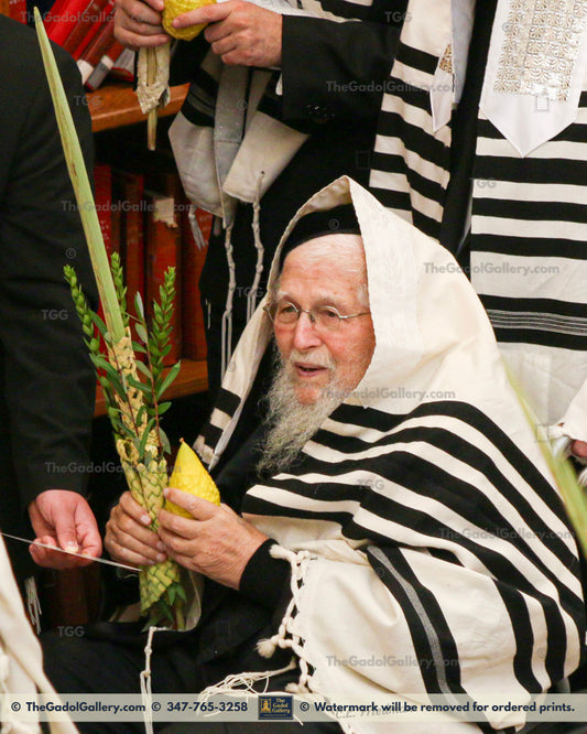 Rav Ahron Shechter - Sukkos - רב אהרן שכטר