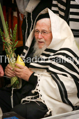Rav Ahron Shechter - Sukkos - רב אהרן שכטר