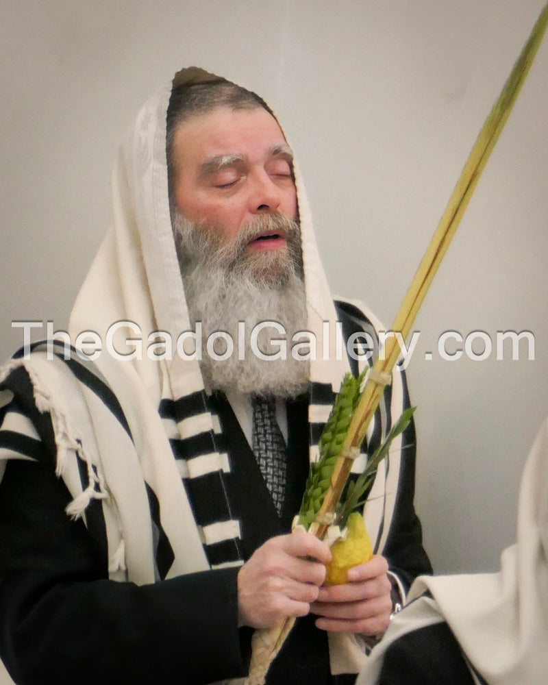 Rav Mordechai Zelig Shechter Lulav Sukkah Poster