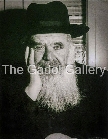 Rav Chaim Leib Shmuelevitz Sukkah Poster