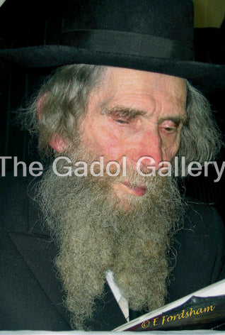 Rav Aharon Yehuda Leib Shteinman