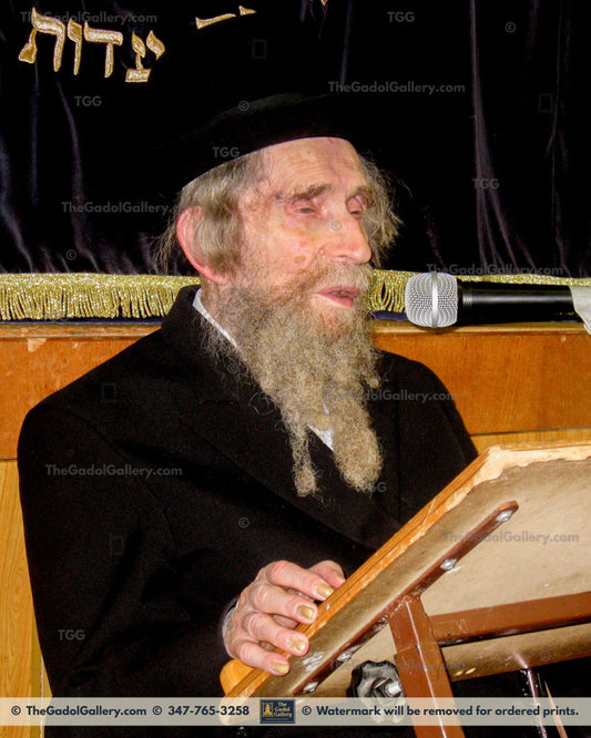 Rav Aharon Yehuda Leib Shteinman - רב אהרן יהודה לייב שטיינמן 3
