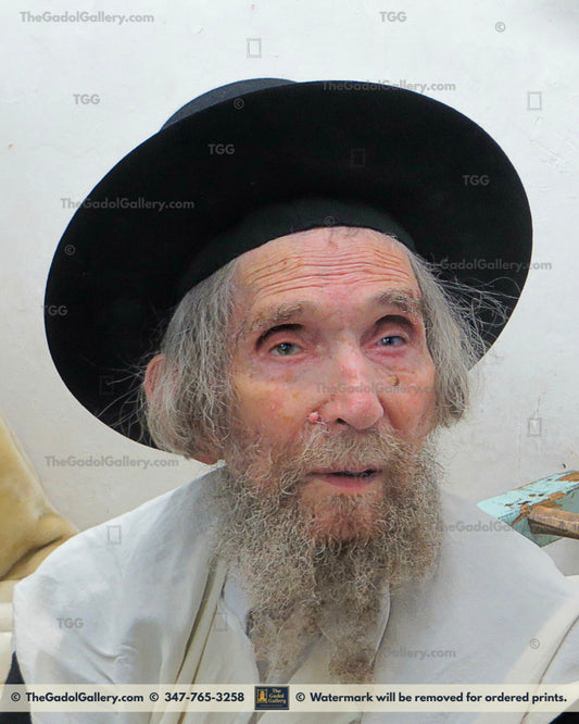 Rav Aharon Yehuda Leib Shteinman 7 - רב אהרן יהודה לייב שטיינמן