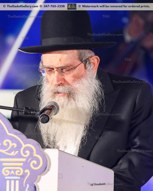 Rav Shraga Shteinman -2- רב שרגא שטיינמן