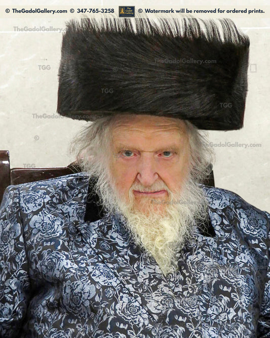 Rav Moshe Shternbuch -W- רב משה שטרנבוך