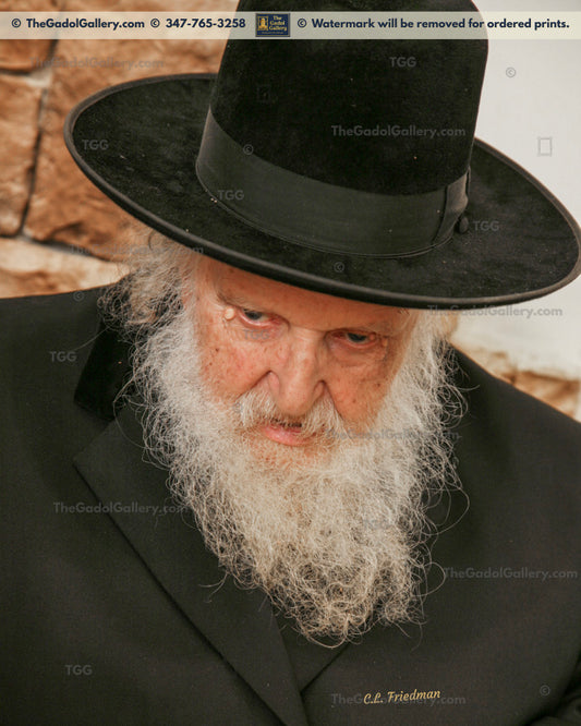 Rav Moshe Shternbuch -1SD- רב משה שטרנבוך