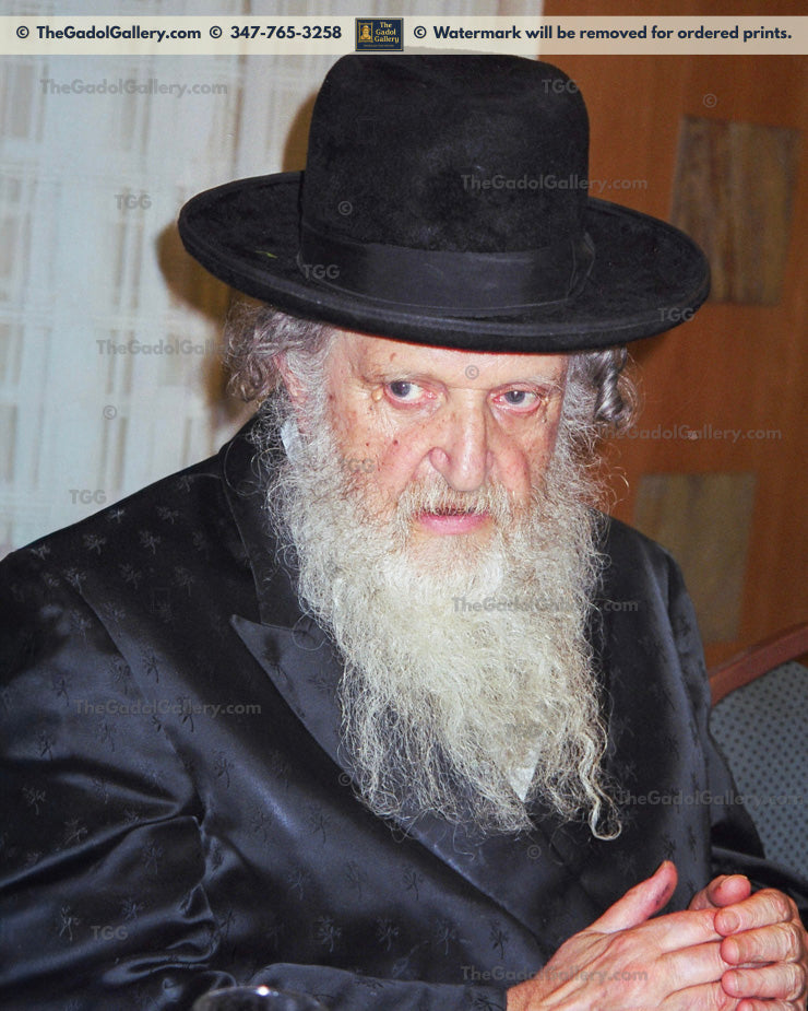 Rav Moshe Shternbuch -1F- רב משה שטרנבוך