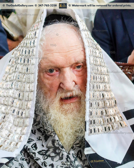 Rav Moshe Shternbuch -2- רב משה שטרנבוך