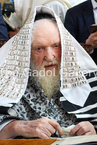 Rav Moshe Shternbuch -2- ×¨×‘ ×ž×©×” ×©×˜×¨Ã— ×‘×•×š Sukkah Poster