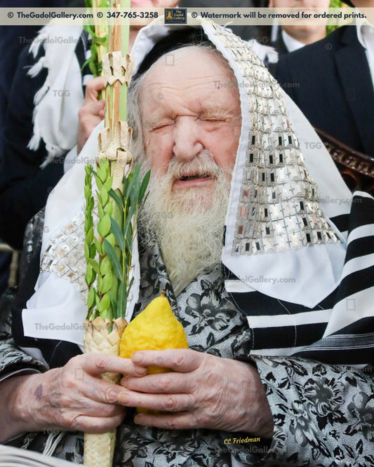 Rav Moshe Shternbuch -Lulav- רב משה שטרנבוך