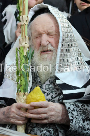 Rav Moshe Shternbuch -3- ×¨×‘ ×ž×©×” ×©×˜×¨Ã— ×‘×•×š Sukkah Poster