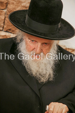 Rav Moshe Shternbuch -4- ×¨×‘ ×ž×©×” ×©×˜×¨Ã— ×‘×•×š Sukkah Poster