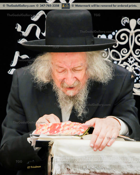 Rav Zevulun Shub - 1 - רב זבולון שוב