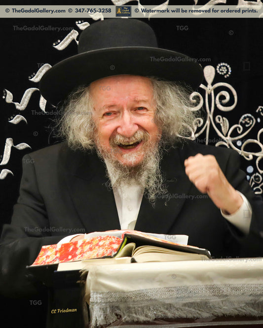 Rav Zevulun Shub - 2 - רב זבולון שוב