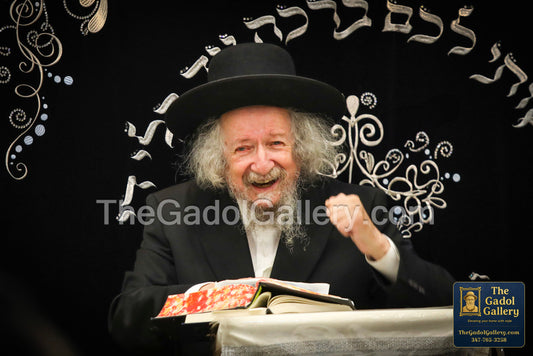 Rav Zevulun Shub - 2 - רב זבולון שוב