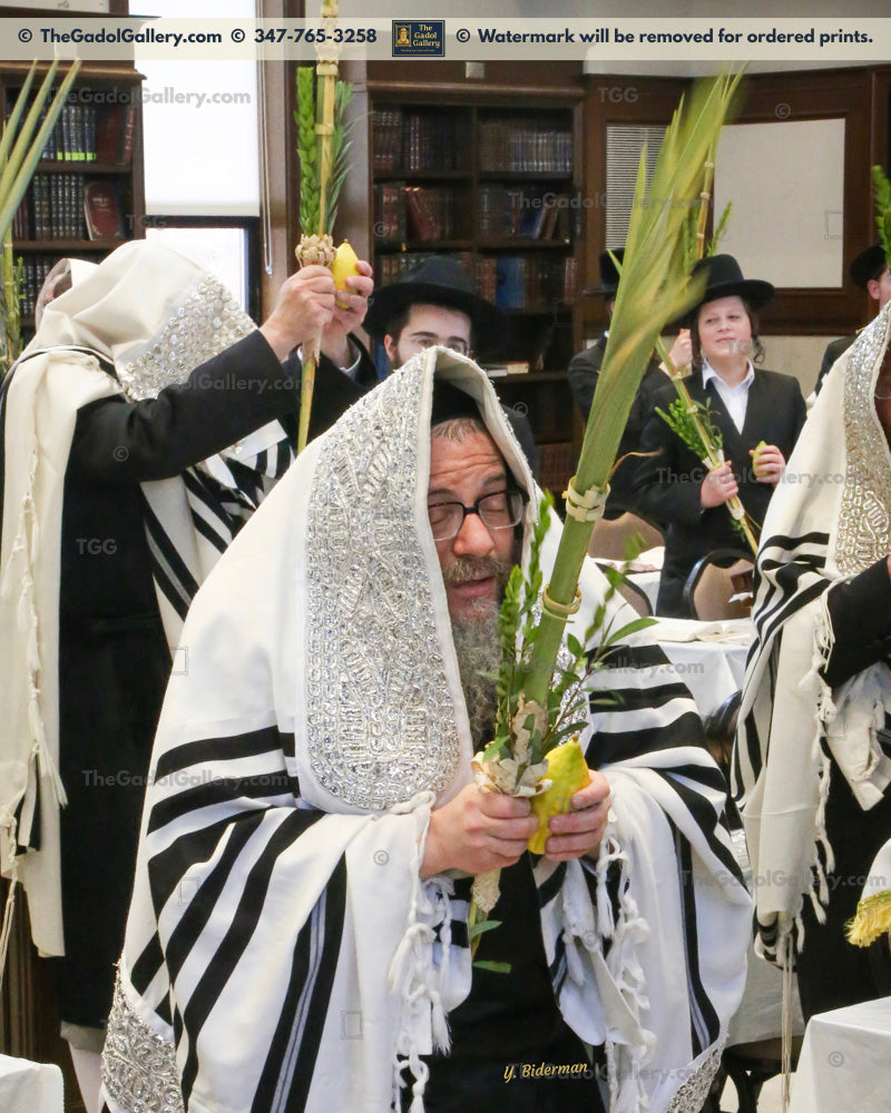 Rav Zvi Noach Portugal, The Skulener Rebbe Lakewood -Sukkos- האדמו"ר מסקולען