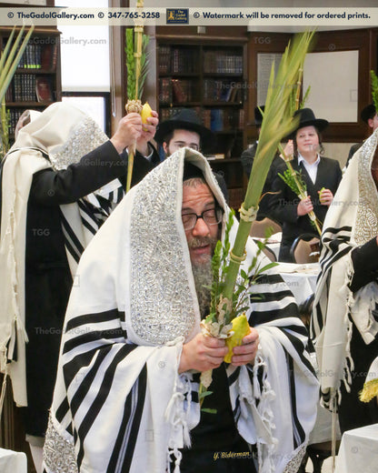 Rav Zvi Noach Portugal, The Skulener Rebbe Lakewood -Sukkos- האדמו"ר מסקולען