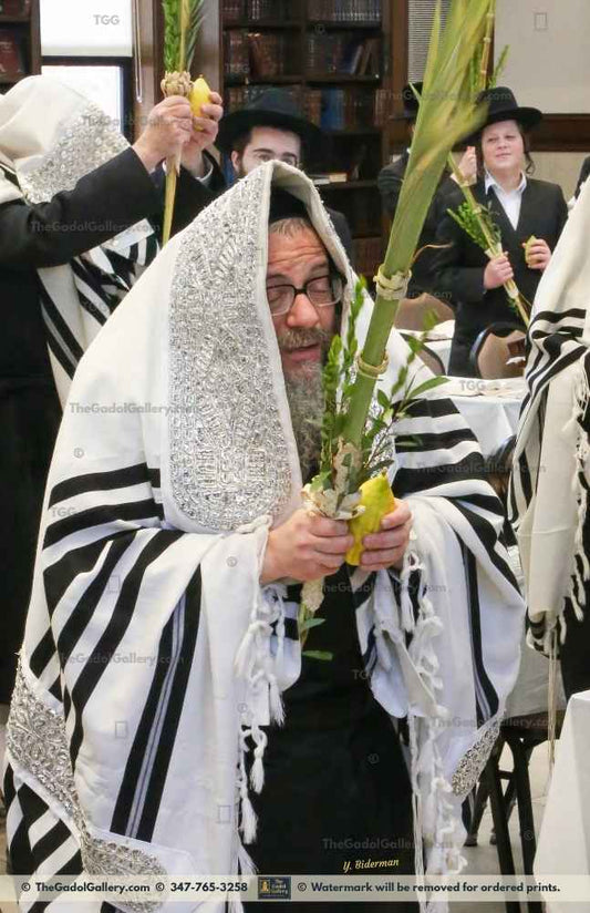 Rav Zvi Noach Portugal, The Skulener Rebbe Lakewood -Lulav- האדמו"ר מסקולען Sukkah Poster