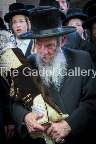 The Slonimer Rebbe Sukkah Poster