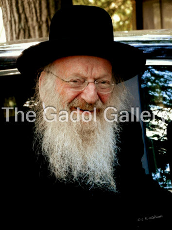 Rav Matisyahu Salomon