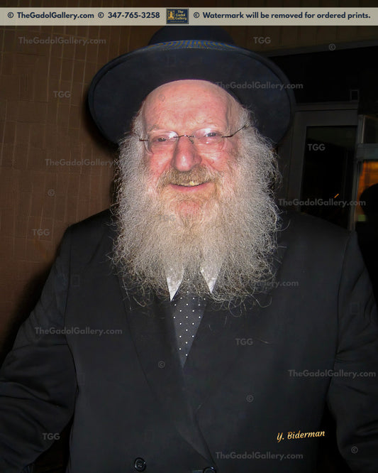 Rav Mattisyahu Salomon -3- רב מתתיהו חיים סולומן