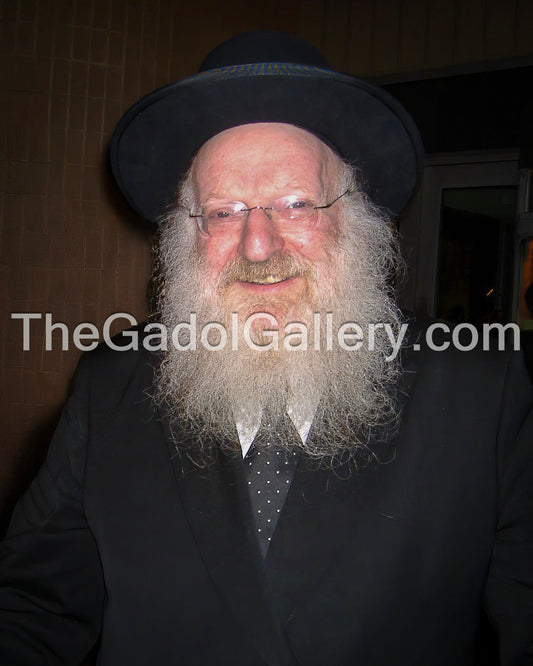 Rav Mattisyahu Salomon -3- רב מתתיהו חיים סולומן Sukkah Poster