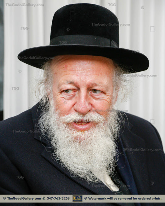 Rav Avrohom Yehoshua Soloveitchik 1 - רב אברהם יהושע סאלאווייציק