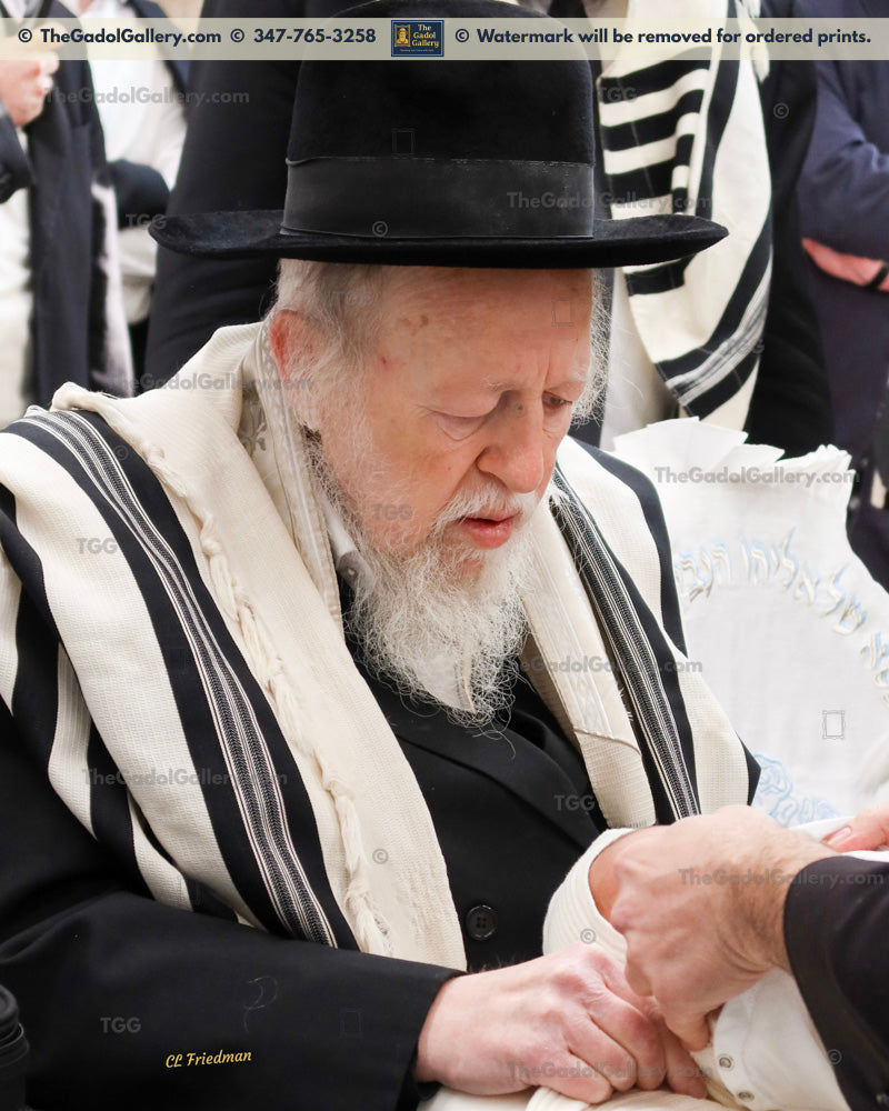 Rav Avrohom Yehoshua Soloveitchik 3 - רב אברהם יהושע סאלאווייציק