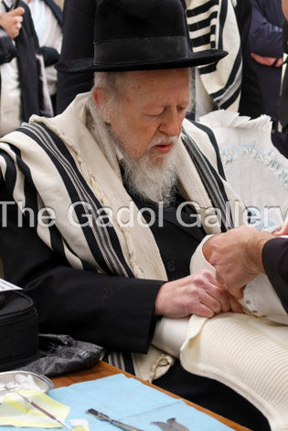 Rav Avrohom Yehoshua Soloveitchik