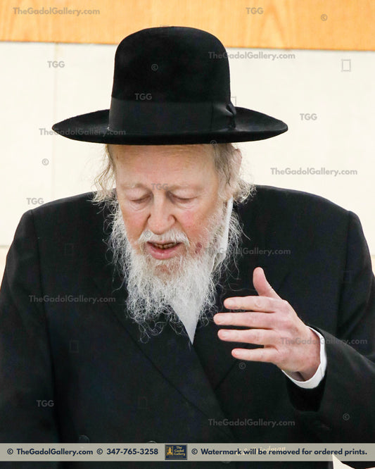 Rav Avrohom Yehoshua Soloveitchik 7 - רב אברהם יהושע סאלאווייציק