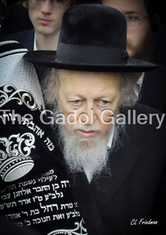 Rav Avrohom Yehoshua Soloveitchik 9 - רב אברהם יהושע סאלאווייציק