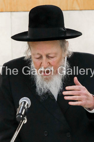 Rav Avrohom Yehoshua Soloveitchik 7 - רב אברהם יהושע סאלאווייציק