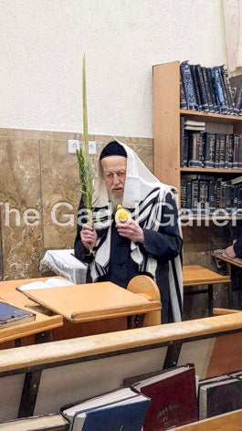 Rav Avrohom Yehoshua Soloveitchik 8 - רב אברהם יהושע סאלאווייציק