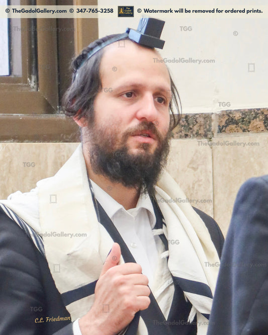 Rav Beryl Soloveitchik -1- רב בערל סאלאווייציק