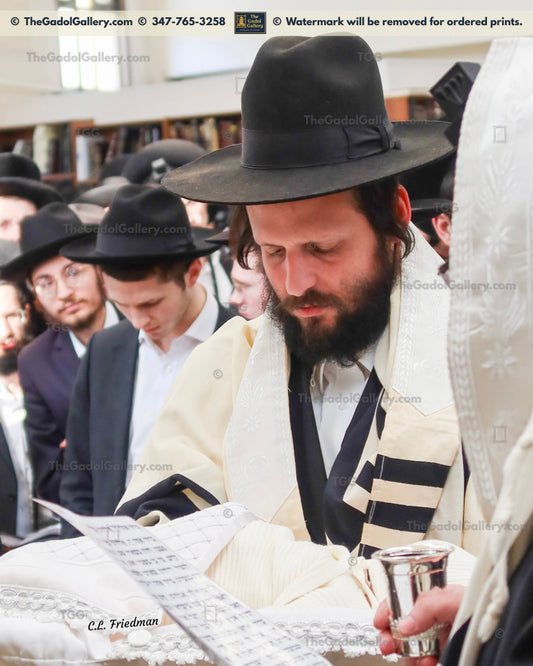 Rav Beryl Soloveitchik -3- רב בערל סאלאווייציק