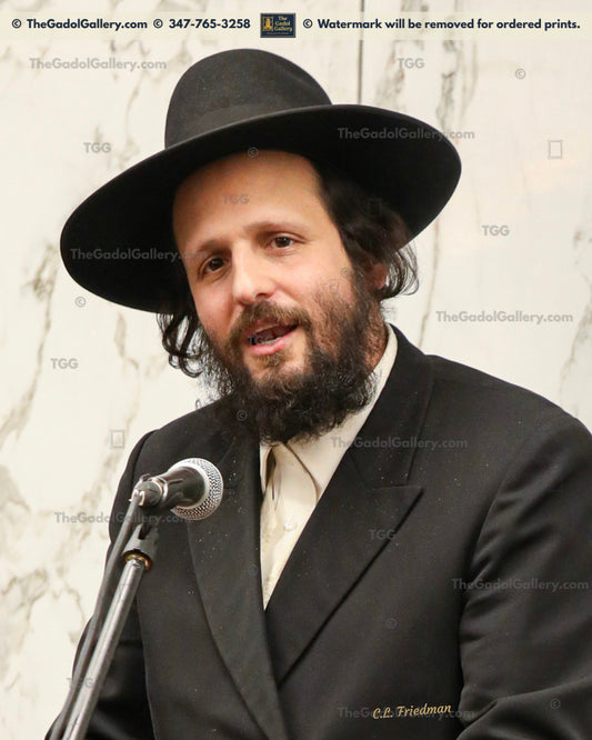 Rav Beryl Soloveitchik -4- רב בערל סאלאווייציק